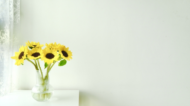 社会人なら知っておきたいビジネスで使うIT用語